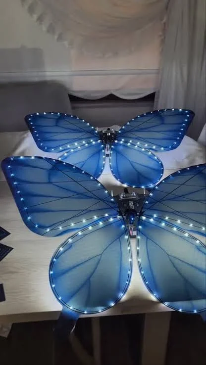 LED ışıkları açık kelebek ekipmanları